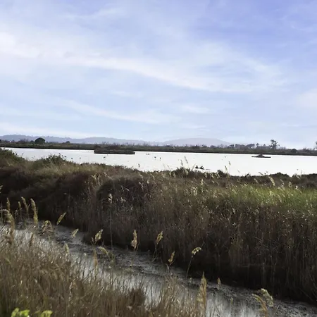 Apartman Canopy By Interhome